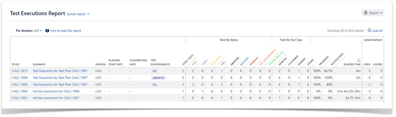 Test Executions Report